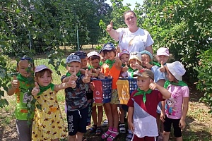 � ��������� ������ ��� �������� ������ ����������� �� �������������� ����������