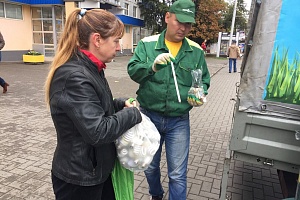 Самая масштабная экологическая акция проведена в Краснодаре