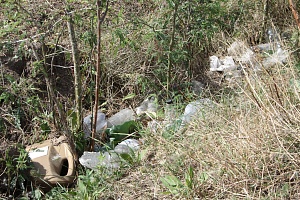 � �������� �������� � ���������� ������ ���������