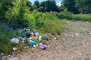 �� ������ ������ ������� �����!