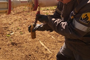 �������� ���������� ��������������� ����������� �������� �������� �� ������������ ���