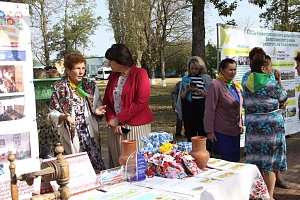 ����������� �������� ��� � ��� �� ������� ������� � 15 ��������������� ��������� ���������������� ������������� ��������������