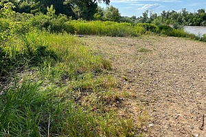 �� ������ ������ ������� �����!