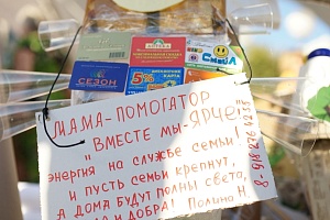 В Краснодаре прошёл фестиваль энергосбережения #ВместеЯрче