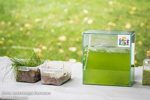 ������������� ��������� ���������������� #���������� � ����������, 2016 ���