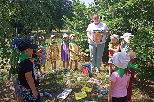 � ��������� ������ ��� �������� ������ ����������� �� �������������� ����������