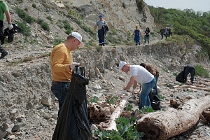 ��������� �� �������������������� ������� ������� � ���������� �����������