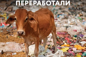 ���������� ������� � � �������� ����� ����� ��� ���. �������� ������ ������� ���������� ������ ��������, ����������� � ���������� ��� ����, ����� �������������� ���������� ����������� ������ �� �������� � ������� ����� ������ � �������� �����.  ⁣ 