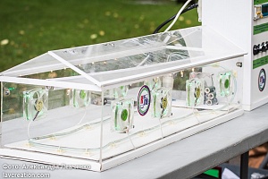 ������������� ��������� ���������������� #���������� � ����������, 2016 ���