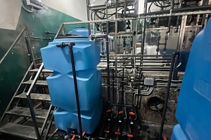 ��� �� ������������������: ��������� ������������� ������� ��������������� ���� � �. �����