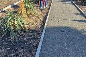 � ������������ ������ ������ ��� ����������� �� ��������� ����������� ���������.