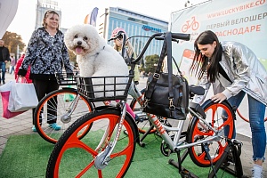 ������������� ��������� ���������������� � �������� #���������� � ����������, 2019 ���