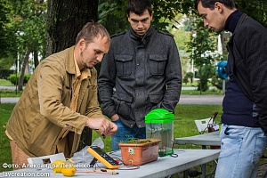 ������������� ��������� ���������������� #���������� � ����������, 2016 ���