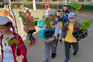 ������������� ��������� �������� �����-2022�