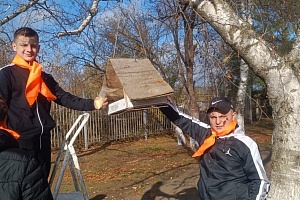 ��� �� ���������� ��ʻ ����������� � ������������� ���� ����