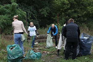 � ���������� ������ ������������� ����� ����� � �������