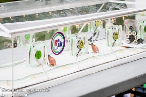 ������������� ��������� ���������������� #���������� � ����������, 2016 ���