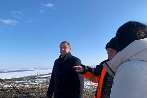 ���������� ��������� � ������ �������� � ������������ ��������� �� �������� ������������