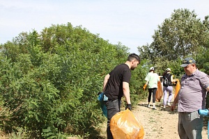 � �������� �������� � ���������� ������ ���������