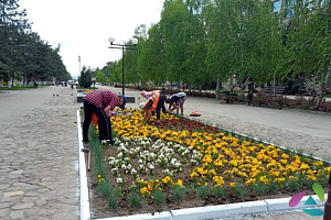 ������������� ��������� �������� �����-2022�