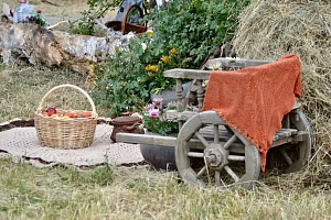 � ������������ 10 ���� ������� ��������� ������������� ������