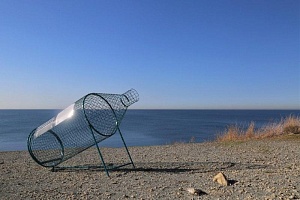 � �����, � ���� ������� ����, ���� ��������� ������������� �����