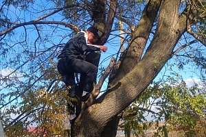 ����������� ����������� ������ �������� ������ �������� ����