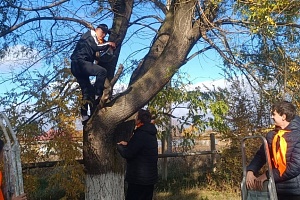 ����������� ����������� ������ �������� ������ �������� ����