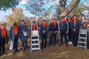 ����������� ����������� ������ �������� ������ �������� ����