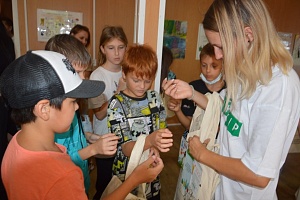 �� ����������������� � ������������� ���� ������������ ���������� ������ �� �������������� �����������