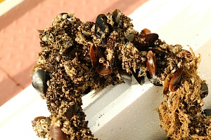 �� �������������������� ��������� ������� ������������ � ��������� ������� ����