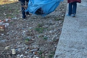 � ������������ ������ ������ ��� ����������� �� ��������� ����������� ���������.