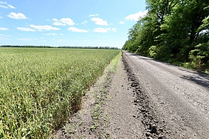 ����������� ��������� ��� �������� ������������� ������� ��� ���������� �������� ���