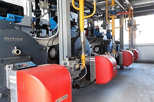 � ���. ���������� ���������-���������� ������ ��������� ����������� ������� ���������