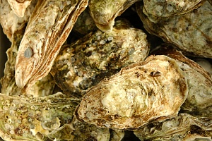 �� �������������������� ��������� ������� ������������ � ��������� ������� ����