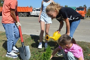 �� ����������������� � ������������� ���� ������������ ���������� ������ �� �������������� �����������